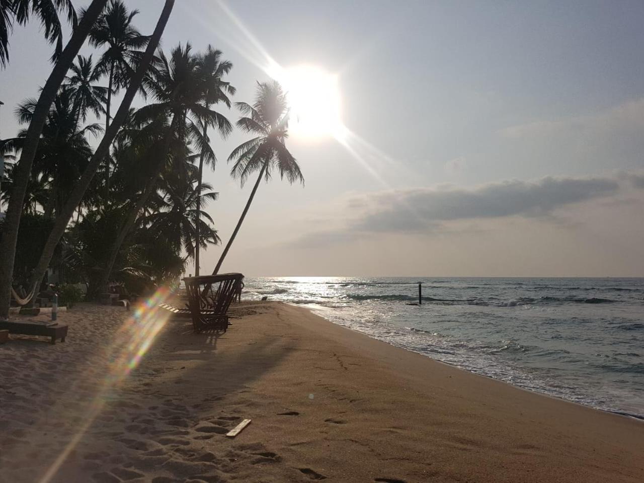 Cool Beach Hotel Хіккадува Екстер'єр фото