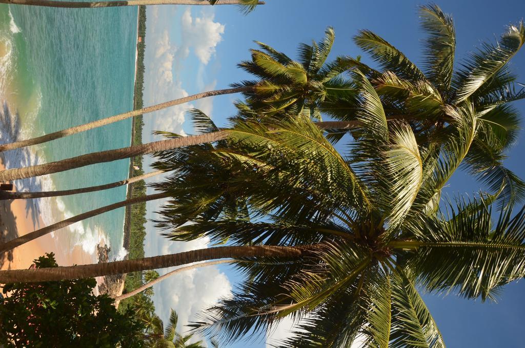 Cool Beach Hotel Хіккадува Екстер'єр фото
